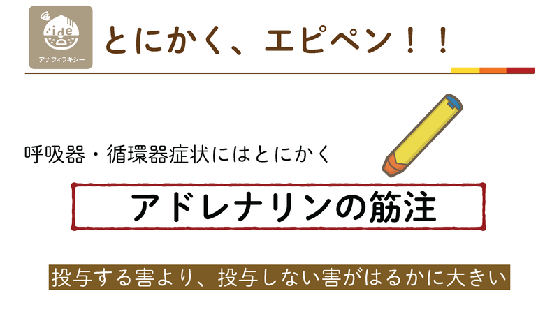呼吸器・循環器症状にはとにかくアドレナリンの筋注。投与する害より投与しない害がはるかに大きい