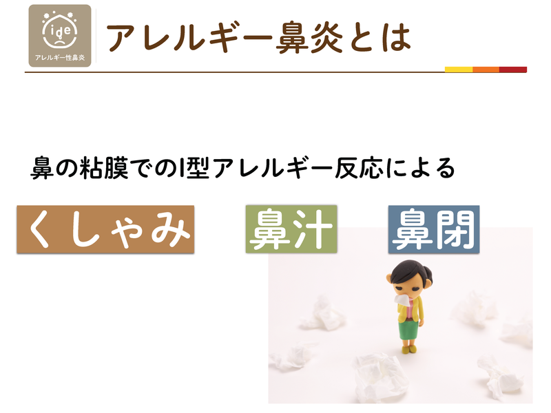 アレルギー性鼻炎は鼻の粘膜でのI型アレルギー反応によるくしゃみ・鼻汁・鼻閉