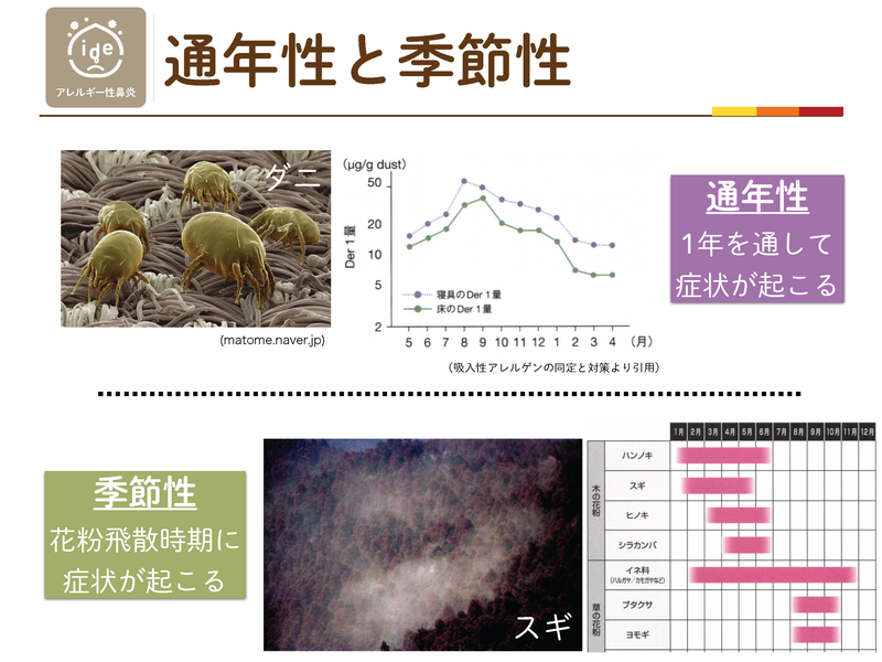 通年性と季節性の違い。通年性の主な原因はダニ、季節性の主な原因は花粉で飛散時期のみ症状が起こる