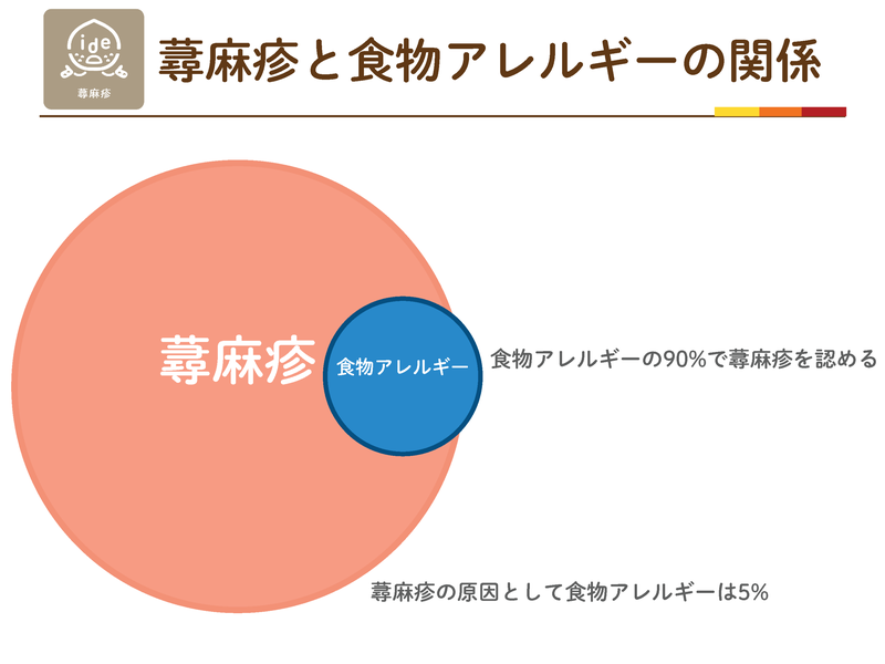蕁麻疹と食物アレルギーの関係。食物アレルギーの90%で蕁麻疹を認めるが、蕁麻疹の原因として食物アレルギーは5%