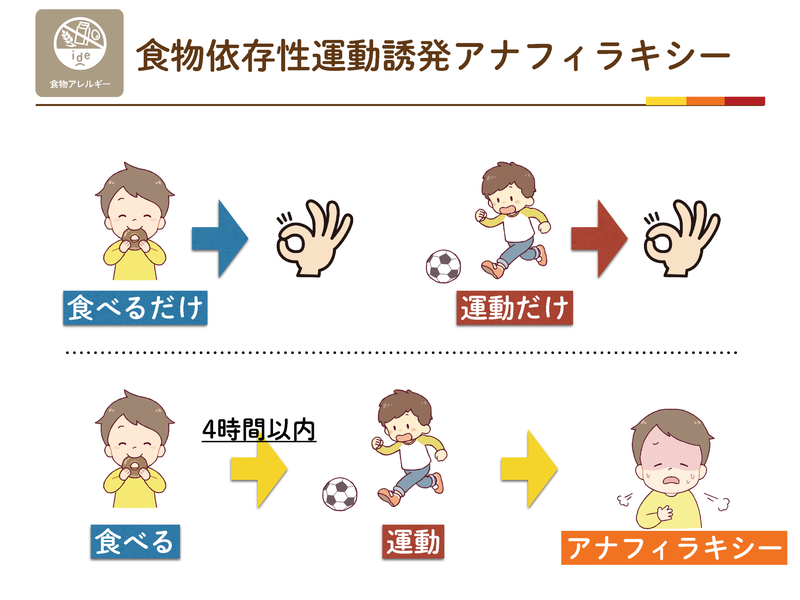 食物依存性運動誘発アナフィラキシー。食べるだけ・運動だけでは起こらないが、食べて4時間以内に運動すると起こる