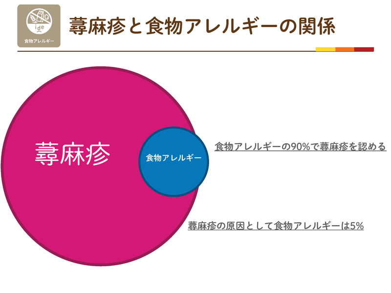 蕁麻疹と食物アレルギーの関係。食物アレルギーの90%で蕁麻疹を認めるが、蕁麻疹の原因として食物アレルギーは5%
